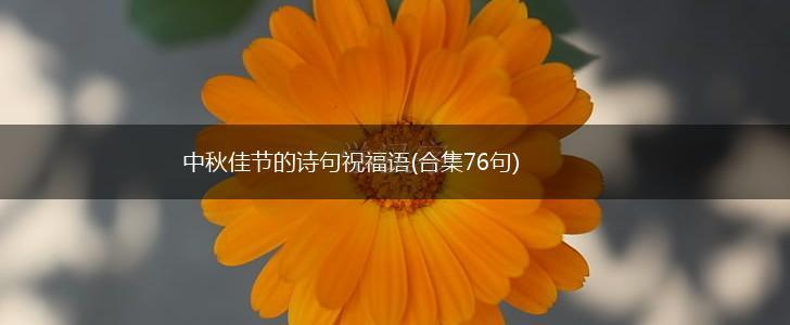 中秋佳节的诗句祝福语(合集76句),第1张