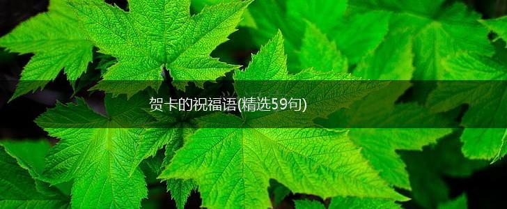 贺卡的祝福语(精选59句),第1张