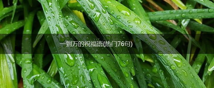 一到万的祝福语(热门76句),第1张