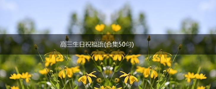 高三生日祝福语(合集50句),第1张