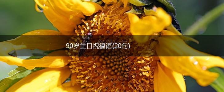 90岁生日祝福语(20句),第1张