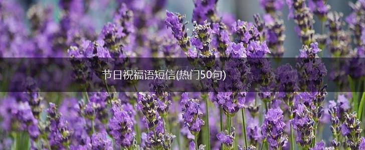 节日祝福语短信(热门50句),第1张