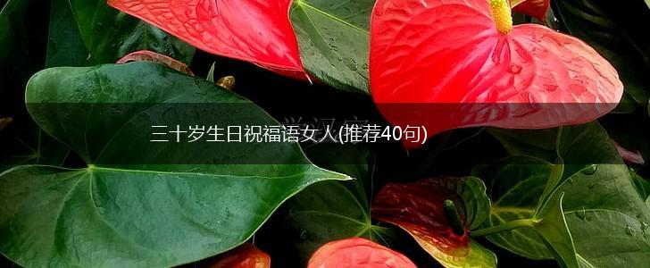 三十岁生日祝福语女人(推荐40句),第1张