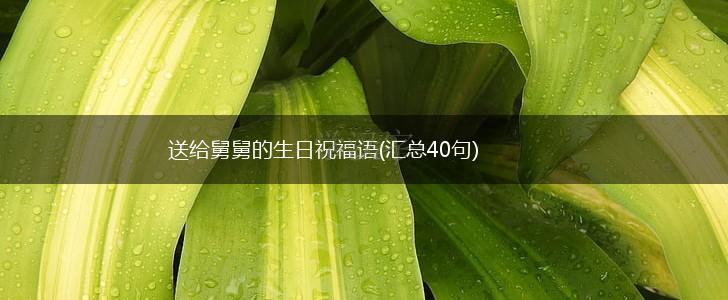 送给舅舅的生日祝福语(汇总40句),第1张