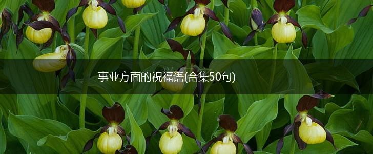 事业方面的祝福语(合集50句),第1张