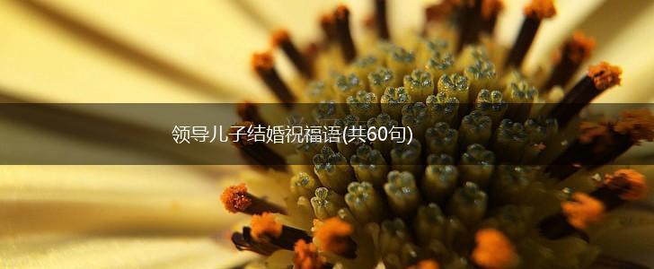 领导儿子结婚祝福语(共60句),第1张