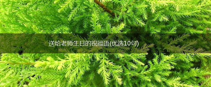 送给老师生日的祝福语(优选10句),第1张