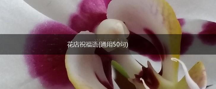 花店祝福语(通用50句),第1张