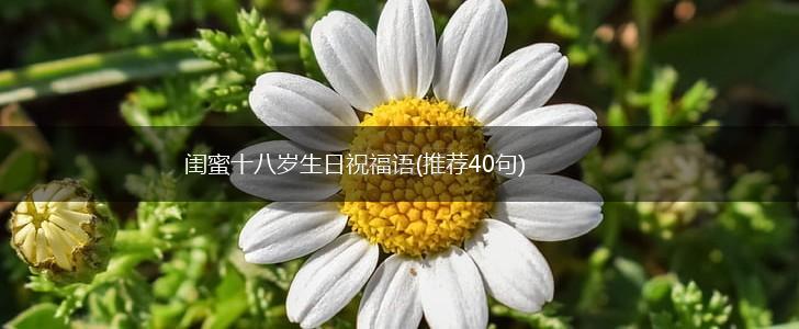 闺蜜十八岁生日祝福语(推荐40句),第1张