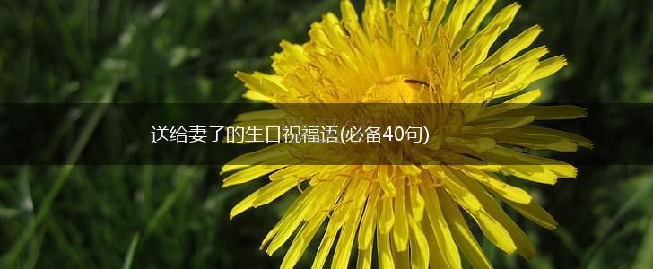 送给妻子的生日祝福语(必备40句),第1张