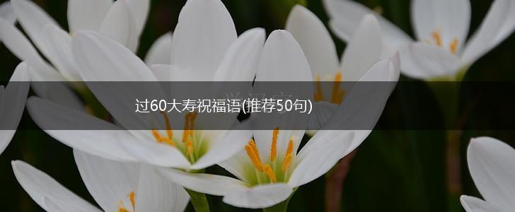 过60大寿祝福语(推荐50句),第1张