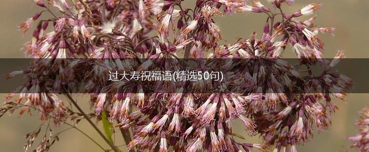 过大寿祝福语(精选50句),第1张