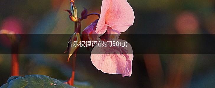 音乐祝福语(热门50句),第1张