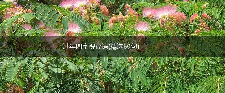 过年四字祝福语(精选60句),第1张