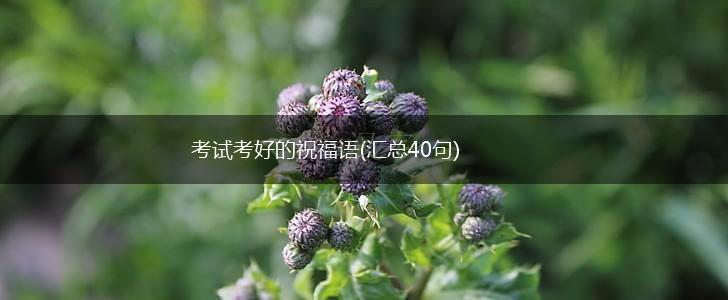 考试考好的祝福语(汇总40句),第1张