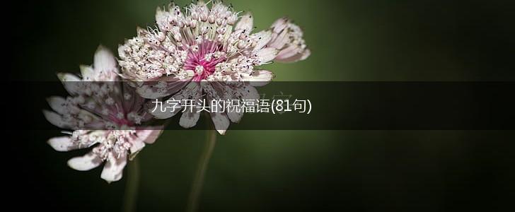 九字开头的祝福语(81句),第1张