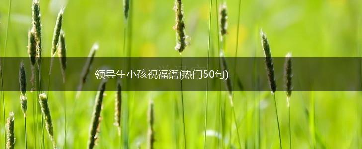 领导生小孩祝福语(热门50句),第1张