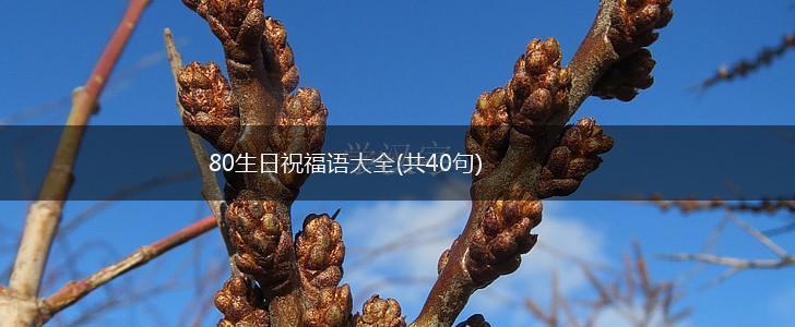 80生日祝福语大全(共40句),第1张