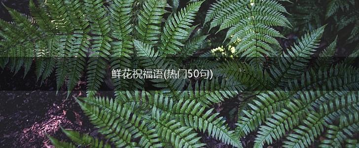 鲜花祝福语(热门50句),第1张