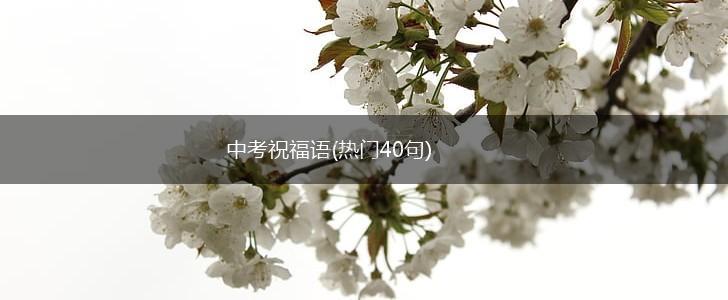 中考祝福语(热门40句),第1张