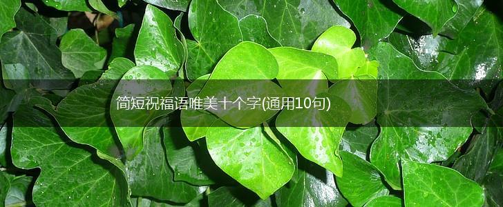 简短祝福语唯美十个字(通用10句),第1张