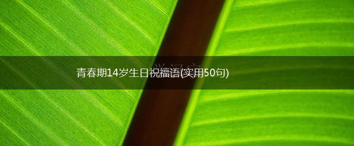 青春期14岁生日祝福语(实用50句),第1张