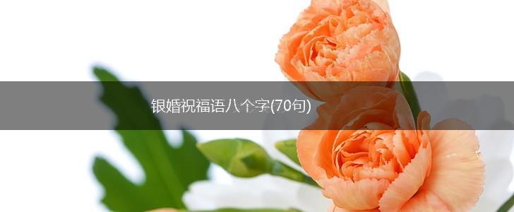 银婚祝福语八个字(70句),第1张