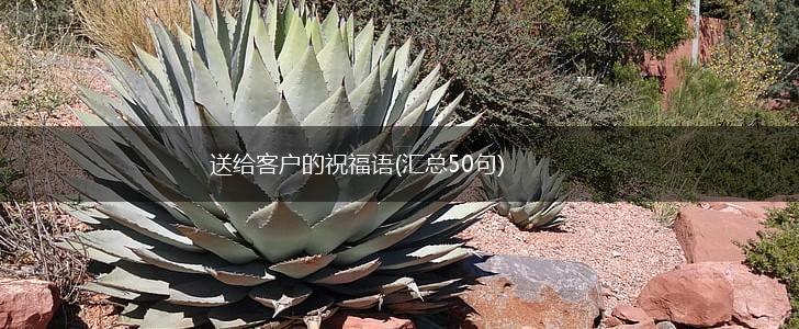 送给客户的祝福语(汇总50句),第1张