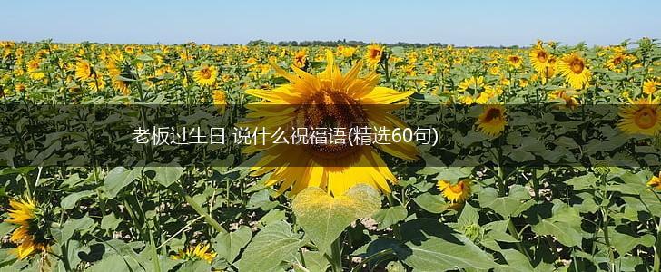 老板过生日 说什么祝福语(精选60句),第1张