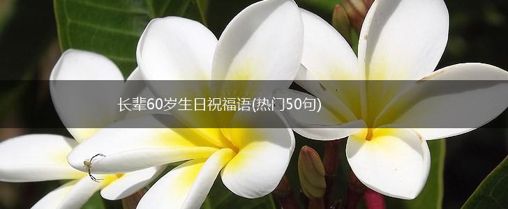 长辈60岁生日祝福语(热门50句),第1张