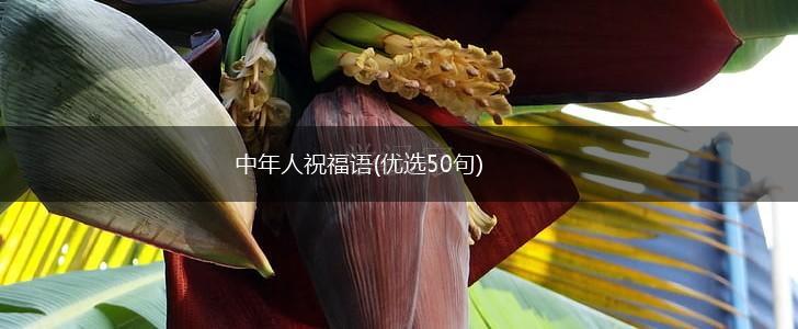 中年人祝福语(优选50句),第1张