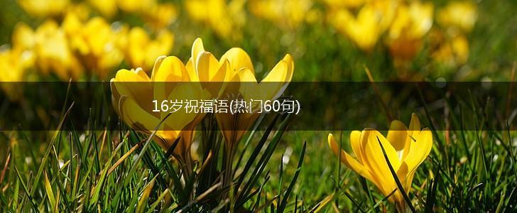 16岁祝福语(热门60句),第1张