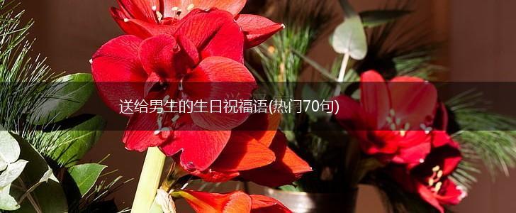 送给男生的生日祝福语(热门70句),第1张