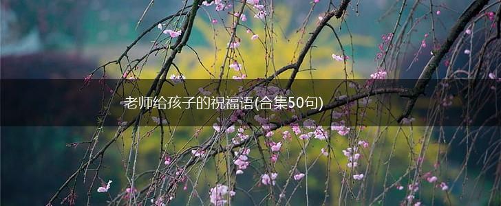 老师给孩子的祝福语(合集50句),第1张