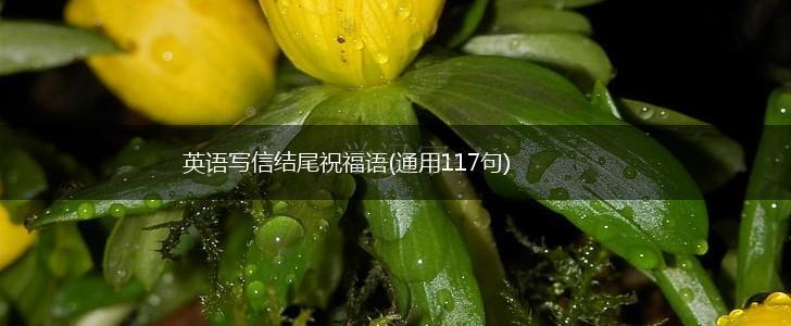 英语写信结尾祝福语(通用117句),第1张