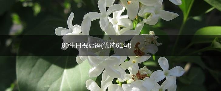 80生日祝福语(优选61句),第1张