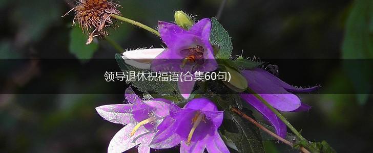 领导退休祝福语(合集60句),第1张