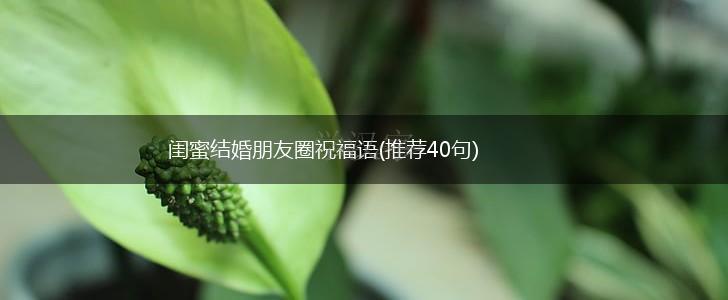 闺蜜结婚朋友圈祝福语(推荐40句),第1张