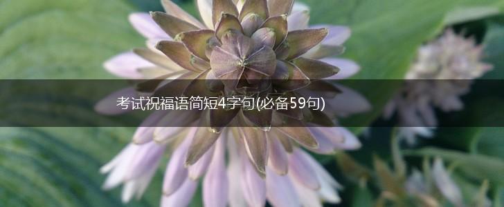 考试祝福语简短4字句(必备59句),第1张