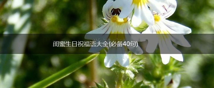 闺蜜生日祝福语大全(必备40句),第1张