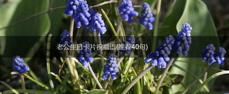 老公生日卡片祝福语(推荐40句),第1张