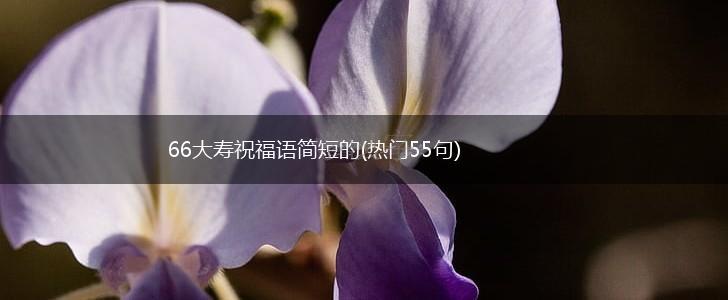 66大寿祝福语简短的(热门55句),第1张