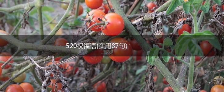 520祝福语(实用87句),第1张