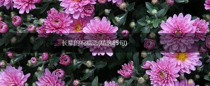 长辈的祝福语(精选85句),第1张