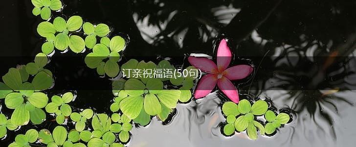 订亲祝福语(50句),第1张