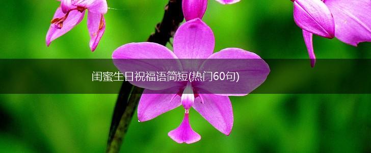 闺蜜生日祝福语简短(热门60句),第1张