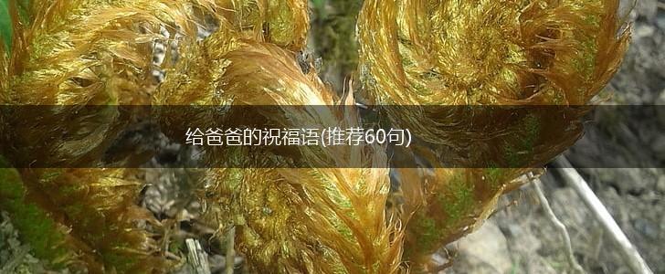 给爸爸的祝福语(推荐60句),第1张