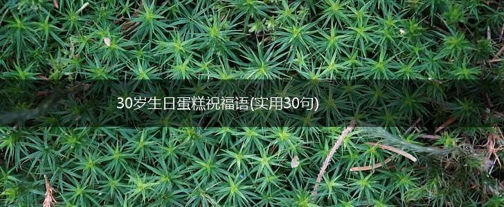 30岁生日蛋糕祝福语(实用30句),第1张