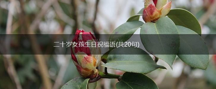 二十岁女孩生日祝福语(共20句),第1张