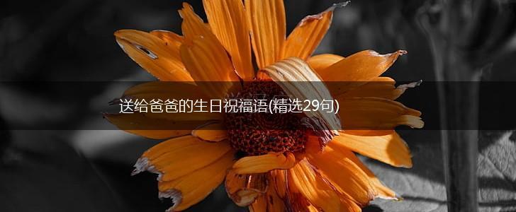 送给爸爸的生日祝福语(精选29句),第1张